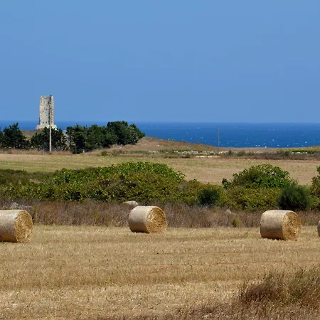 Seba Maison - Centro *