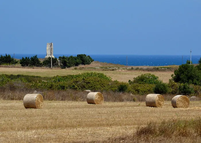 Seba Maison - Centro *